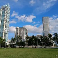 Dog Park - Margaret Pace Park ico