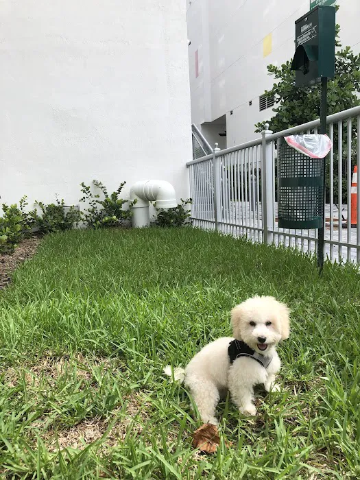 Canvas Dog Park 2