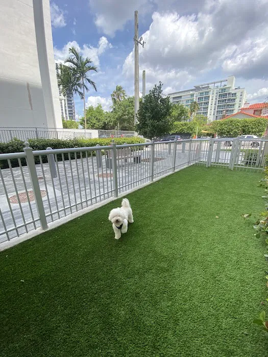 Canvas Dog Park 1
