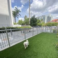Canvas Dog Park ico