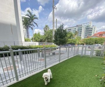Canvas Dog Park