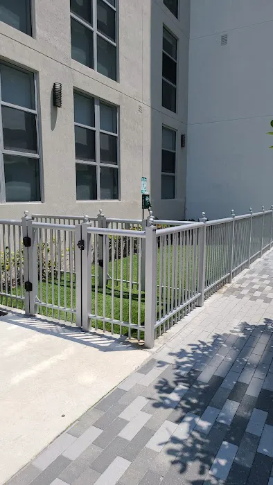 Canvas Dog Park 3