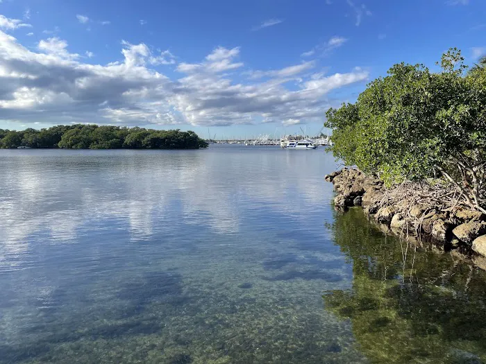 Coconut Grove Dog Park 2