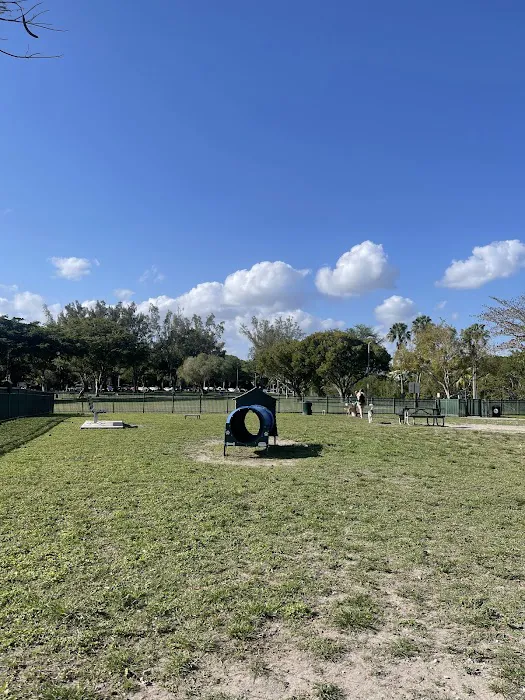 Coconut Grove Dog Park 9