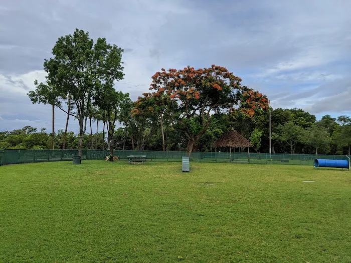 Coconut Grove Dog Park 1