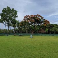 Coconut Grove Dog Park ico