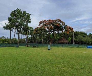 Coconut Grove Dog Park