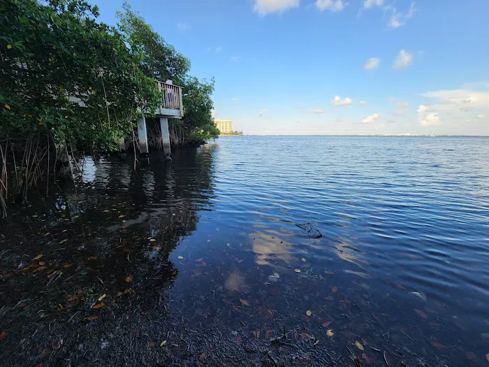 Coconut Grove Dog Park 5