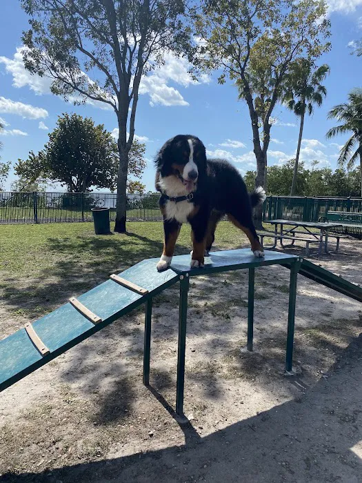 Coconut Grove Dog Park 10