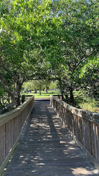 Coconut Grove Dog Park 6