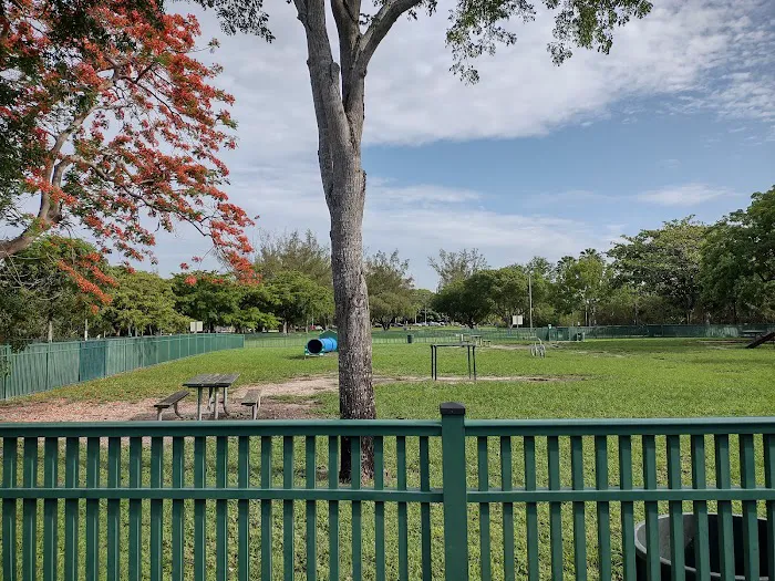 Coconut Grove Dog Park 8