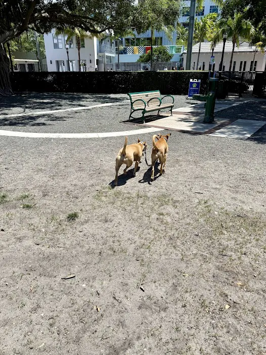Washington Dog Park & Annex 8