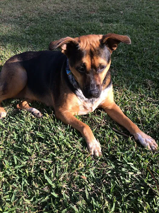 Washington Dog Park & Annex 7