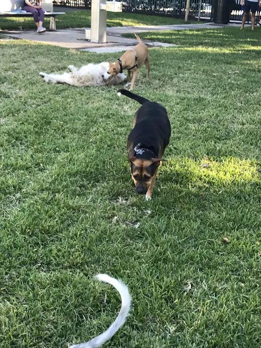 Washington Dog Park & Annex 9