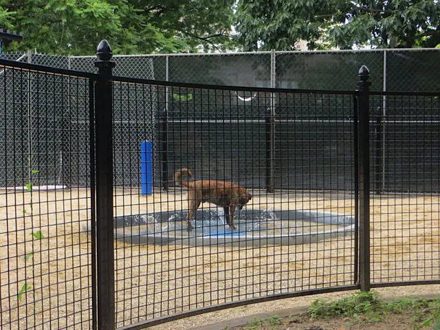 Washington Park - Small Dog Run 2