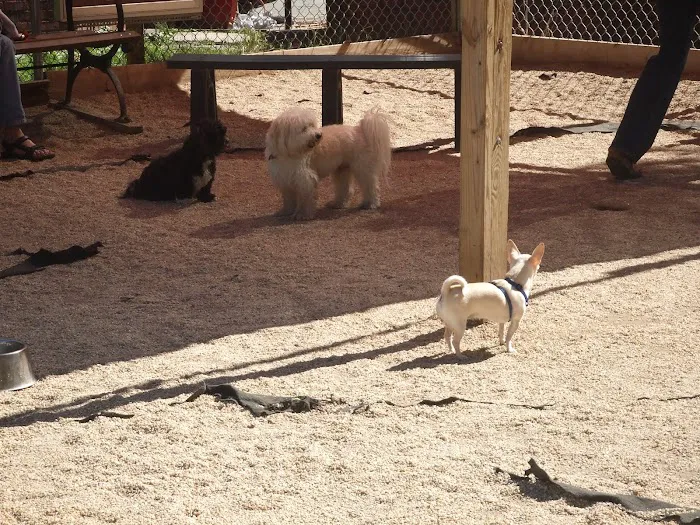 Washington Park - Small Dog Run 9