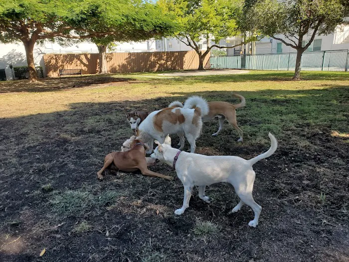 Washington Park - Small Dog Run 7