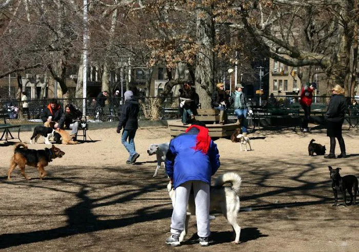 Washington Park - Small Dog Run 5