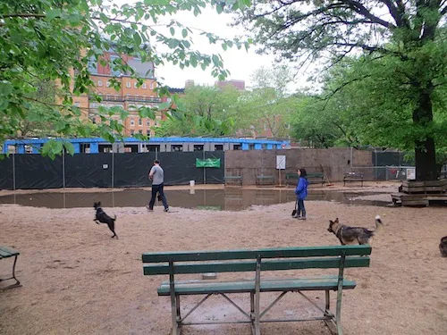 Washington Park - Small Dog Run 1