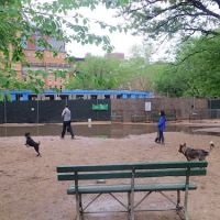 Washington Park - Small Dog Run ico