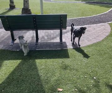 Blanche Park