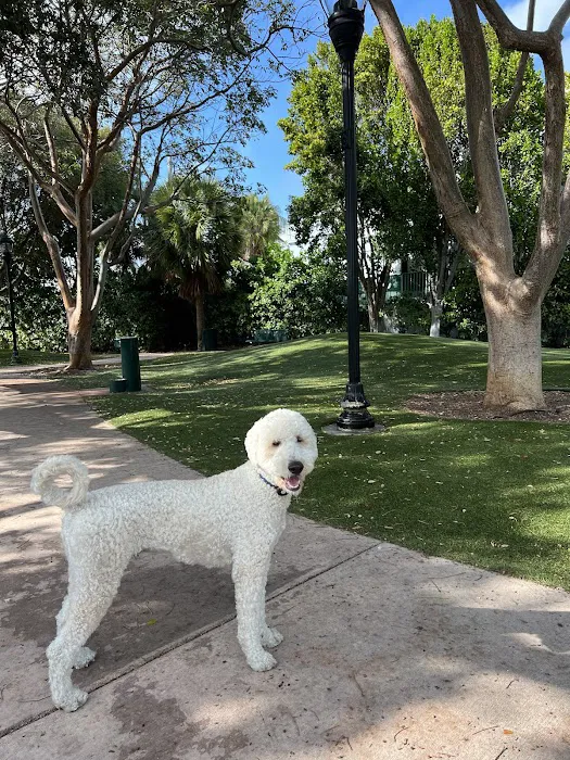 Village Green Dog Park 8