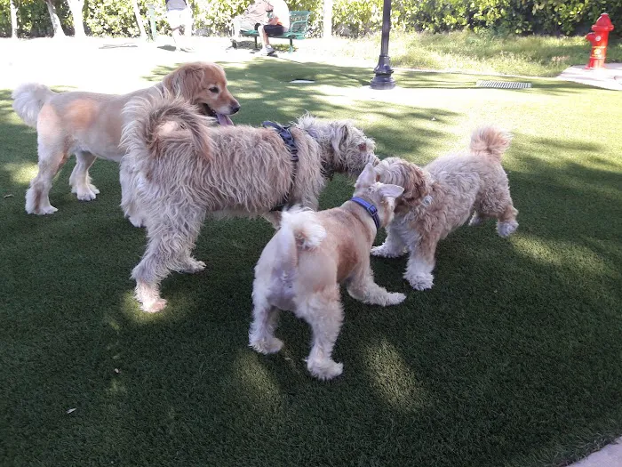Village Green Dog Park 10