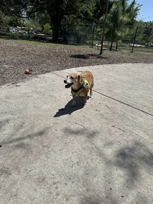 Military Trail Dog Park 4