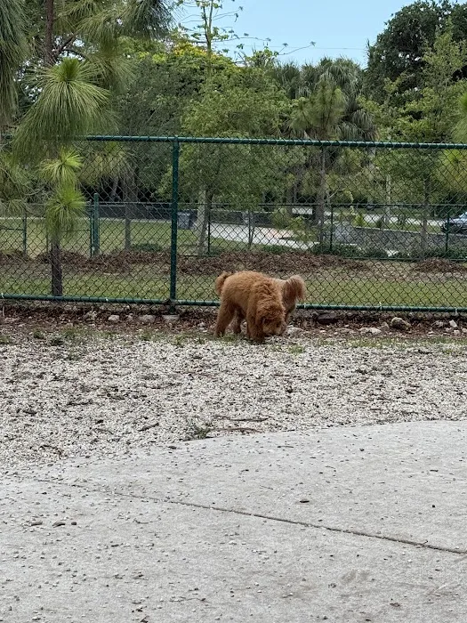 Military Trail Dog Park 10