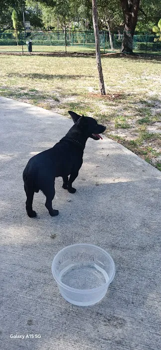 Military Trail Dog Park 6