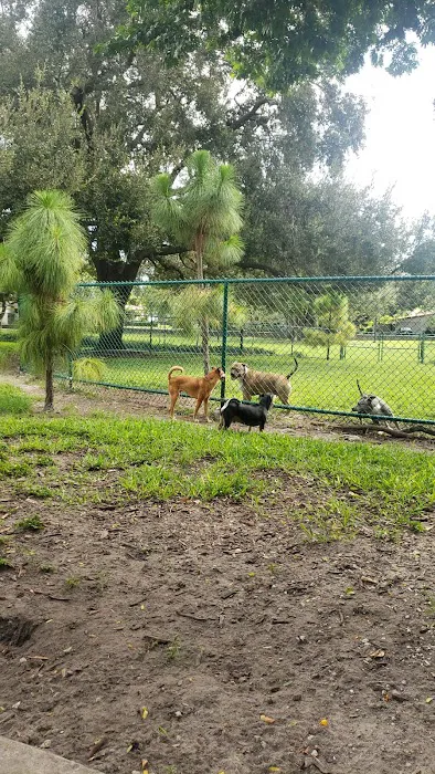 Military Trail Dog Park 7