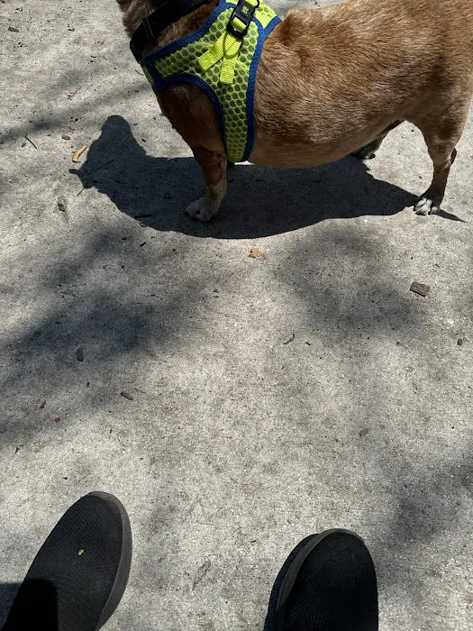Military Trail Dog Park 2