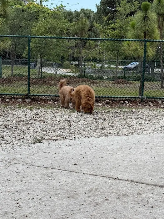 Military Trail Dog Park 9