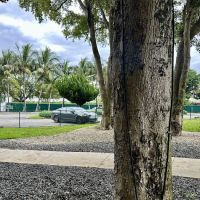 Quayside Doggie Park ico