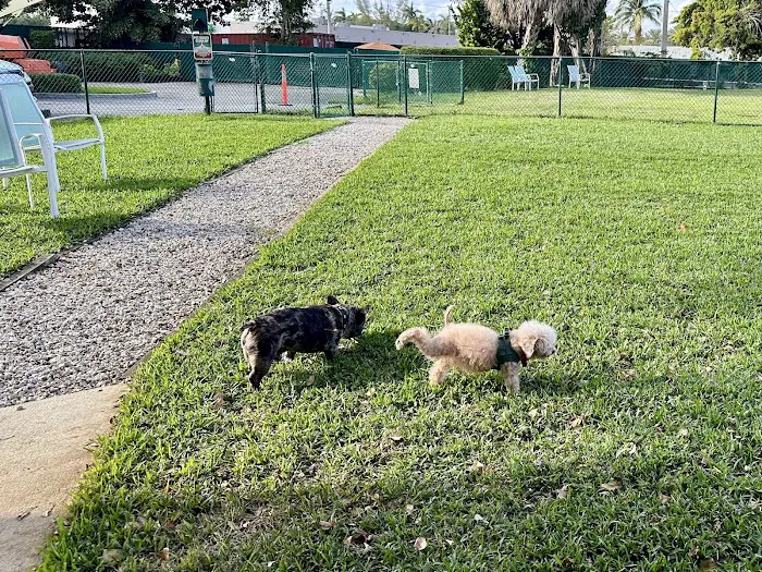 Quayside Doggie Park 3