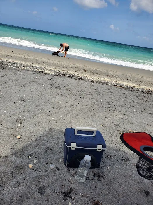 Bark Beach 1