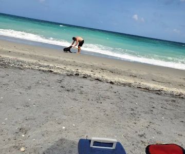 Bark Beach