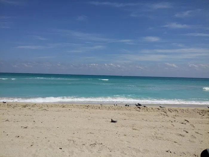 Bark Beach 10