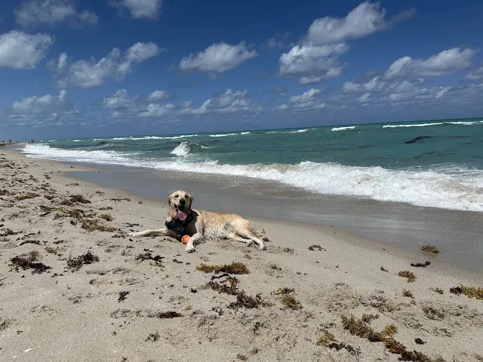 Bark Beach 4