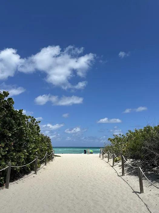 Bark Beach 8