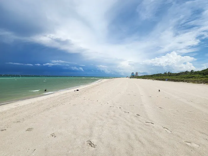 Bark Beach 2
