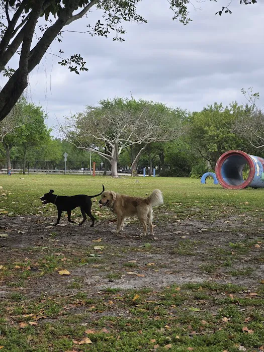 Amelia Earhart Dog Park 1