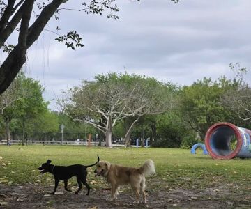 Amelia Earhart Dog Park
