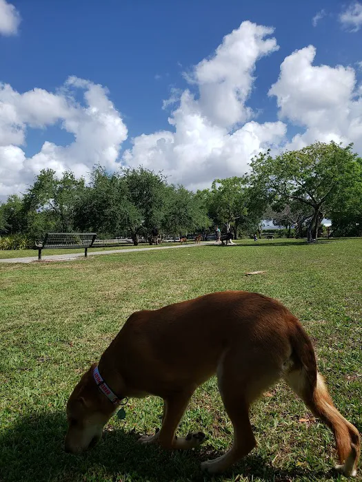 Amelia Earhart Dog Park 3