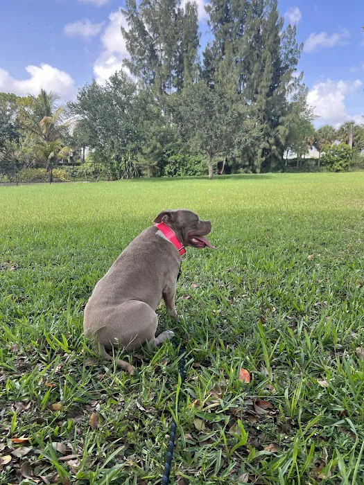 Amelia Earhart Dog Park 4
