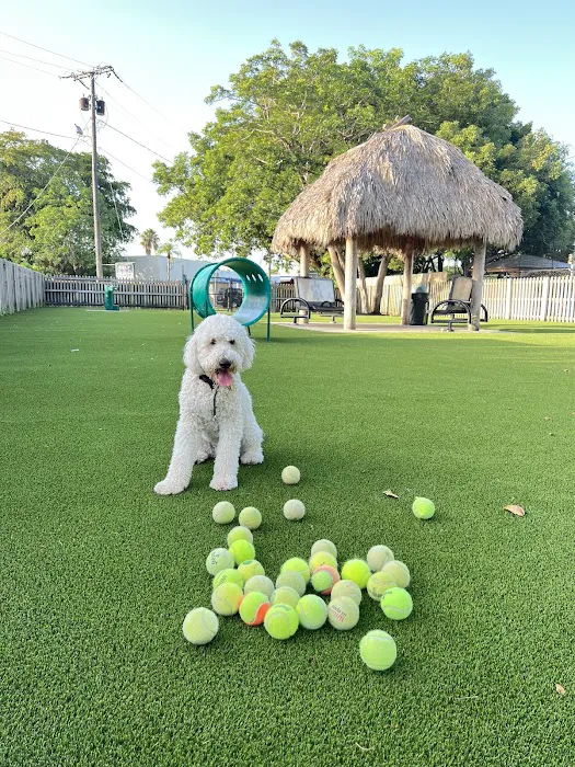 South Miami Dog Park 1