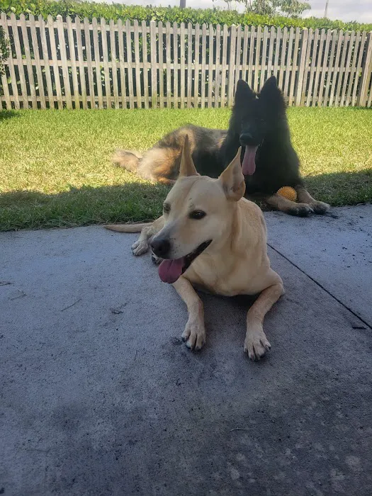 South Miami Dog Park 9