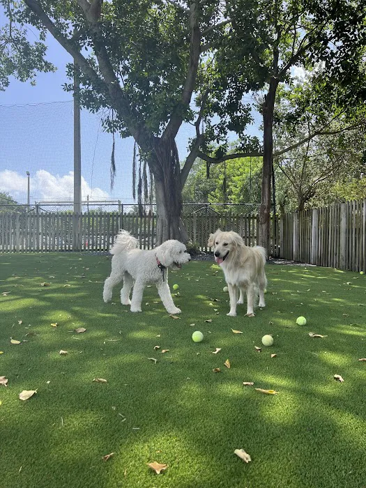 South Miami Dog Park 2