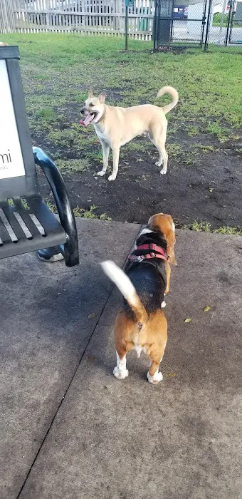 South Miami Dog Park 4
