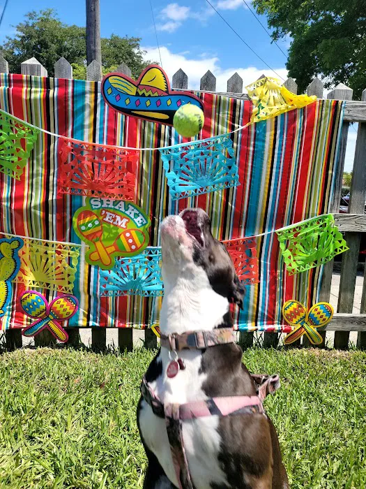 South Miami Dog Park 8